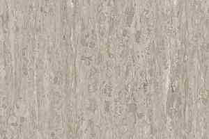 Линолеум Tarkett iq Optima COOL Light Beige 0248 фото  | FLOORDEALER